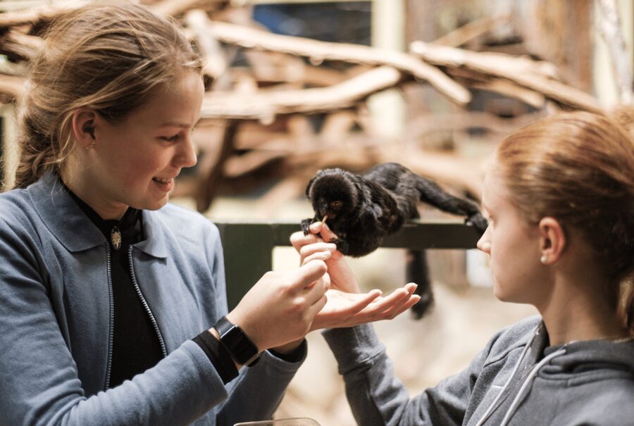 1-day ticket for Schwerin Zoo - Meet the rare animals of the zoo