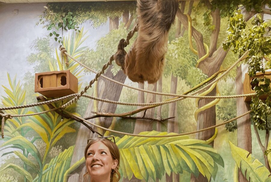 1-day ticket for Schwerin Zoo - Is the $16 ticket good value?