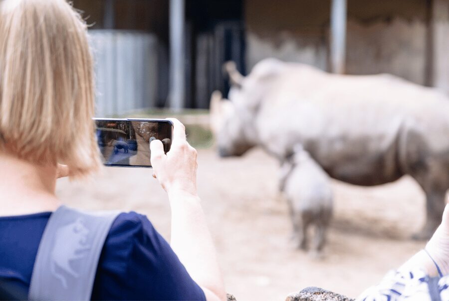 1-day ticket for Schwerin Zoo - Ticket problems to avoid
