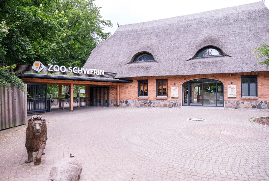 1-day ticket for Schwerin Zoo - Who should choose Schwerin Zoo?
