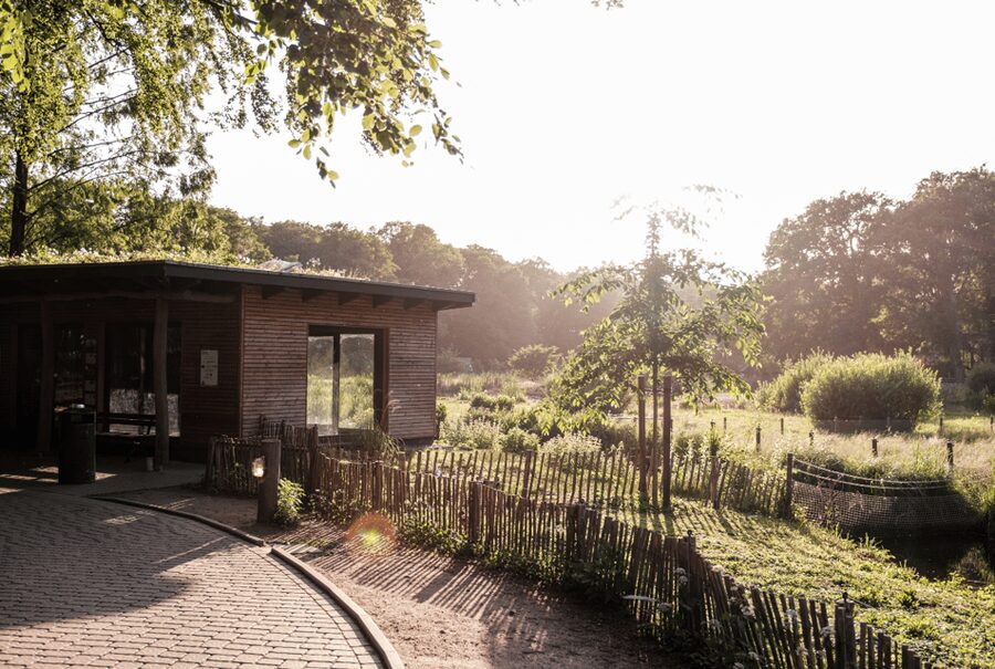 1-day ticket for Schwerin Zoo - Start with the Red List Center