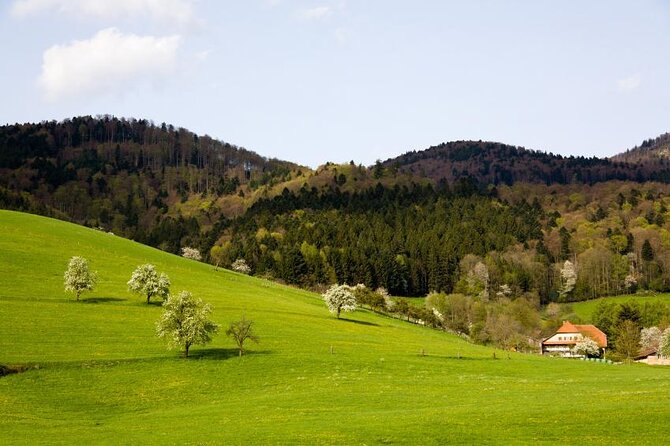 Baden-Baden, Black Forest and Strasbourg Day Trip from Frankfurt - One day, two countries, and a lot of road time