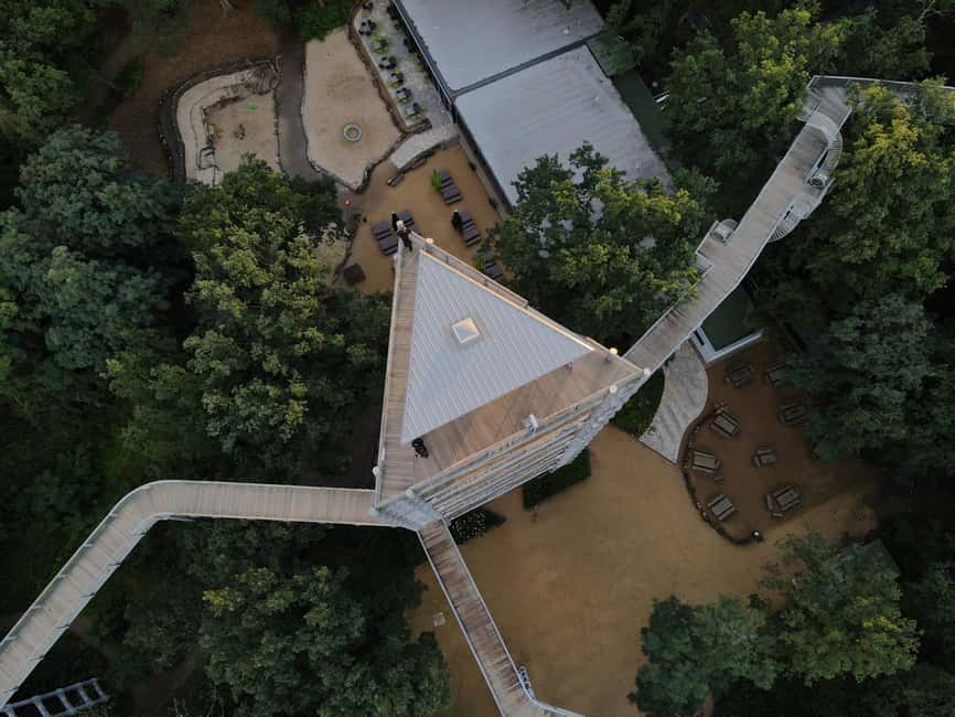 Beelitz-Heilstätten: Baum&Zeit Tree Top Walk Entry Ticket - A self-guided walk with room to explore