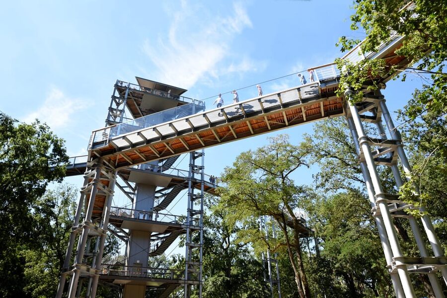 Beelitz-Heilstätten: Baum&Zeit Tree Top Walk Entry Ticket - Getting there from Berlin and beyond