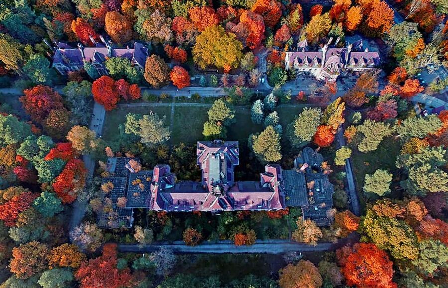 Beelitz-Heilstätten: Baum&Zeit Tree Top Walk Entry Ticket - The best time to visit