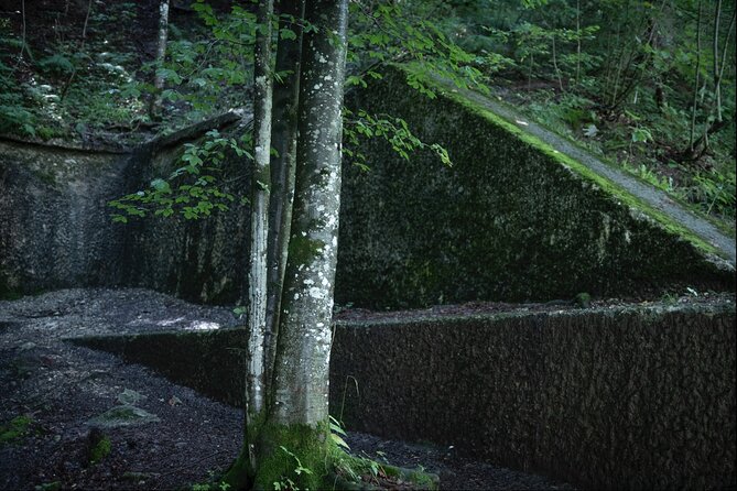 Berchtesgaden-Obersalzberg Private Half Day WWII Historical Tour - Who will get the most from this tour