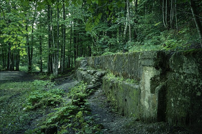 Berchtesgaden-Obersalzberg Private Half Day WWII Historical Tour - How this compares with a quick sightseeing stop