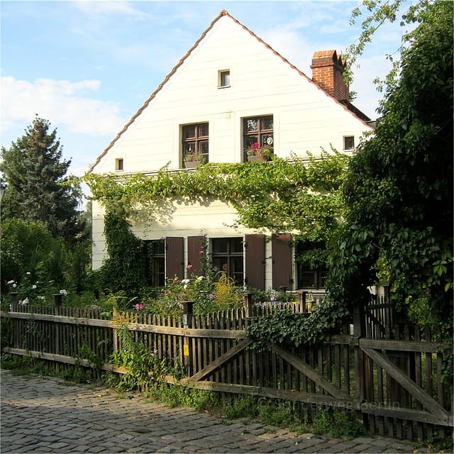 Berlin: 2.5-Hour Neighborhood Tour of Neukölln - Guide style, group size, and the value of Tobias