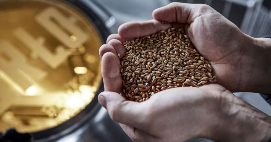 Berlin: BRLO BRWHOUSE Tour and Craft Beer Tasting - The five-beer tasting and why the pairings matter