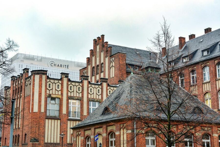 Berlin: Charité Hospital History Walking Tour - Is $28 a fair price?