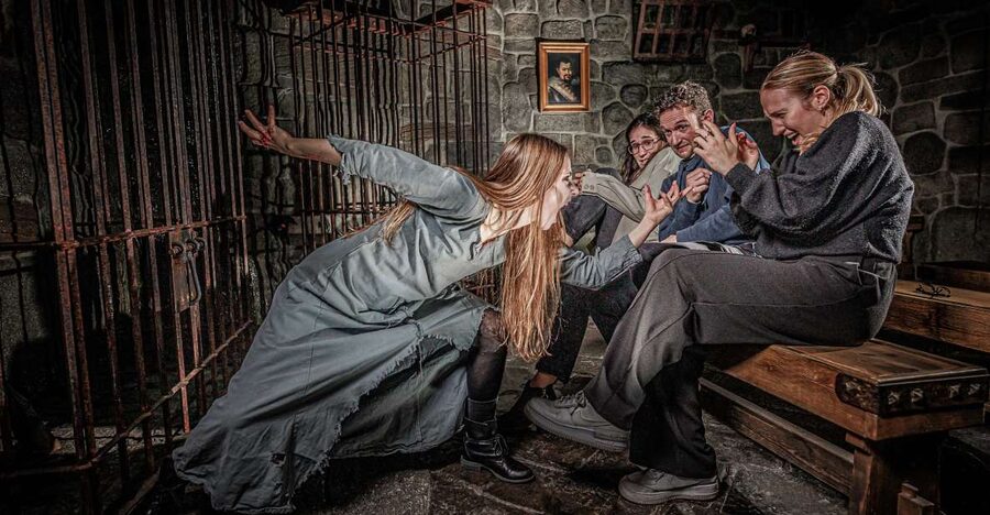 Berlin Dungeon: Entrance Ticket - Erich Valke and the great fire of Berlin