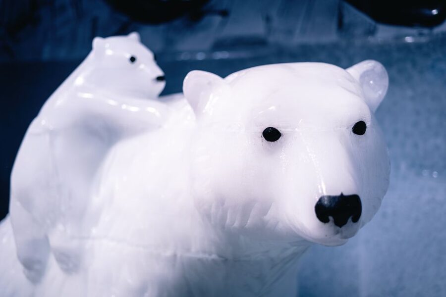 Berlin: Icebar Entrance with Complimentary Drinks - Is the Berlin Icebar worth booking?