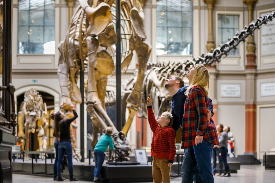 Berlin: Natural History Museum Entrance Ticket - Key things to know