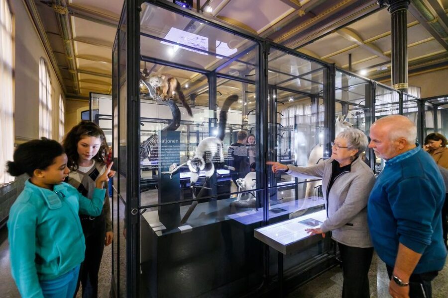 Berlin: Natural History Museum Entrance Ticket - Berlin’s dinosaur hall delivers the big moment