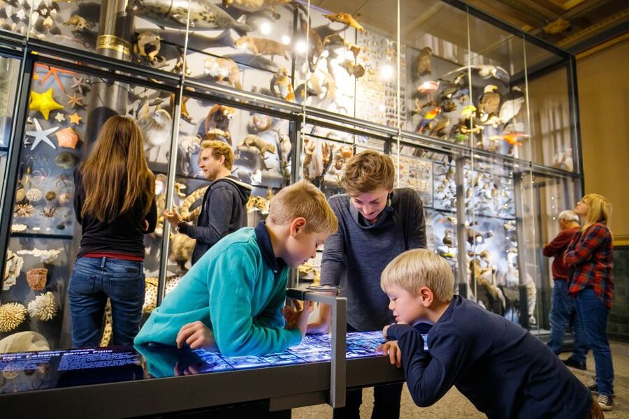 Berlin: Natural History Museum Entrance Ticket - More than dinosaurs, from minerals to the Earth