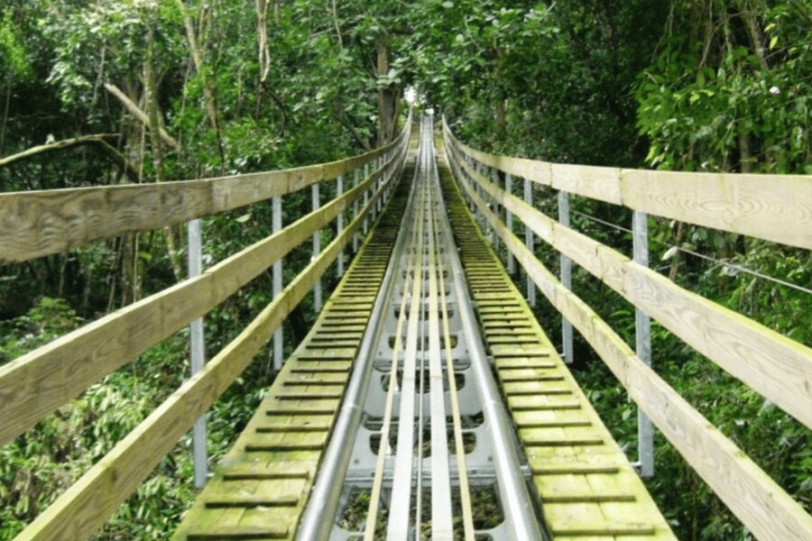 Berlin: Nature Bobsled Run Ticket - Children, height rules, and the age confusion