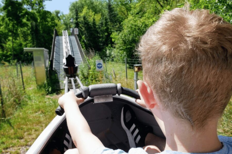 Berlin: Nature Bobsled Run Ticket - Should you book the Nature Bobsled Run?