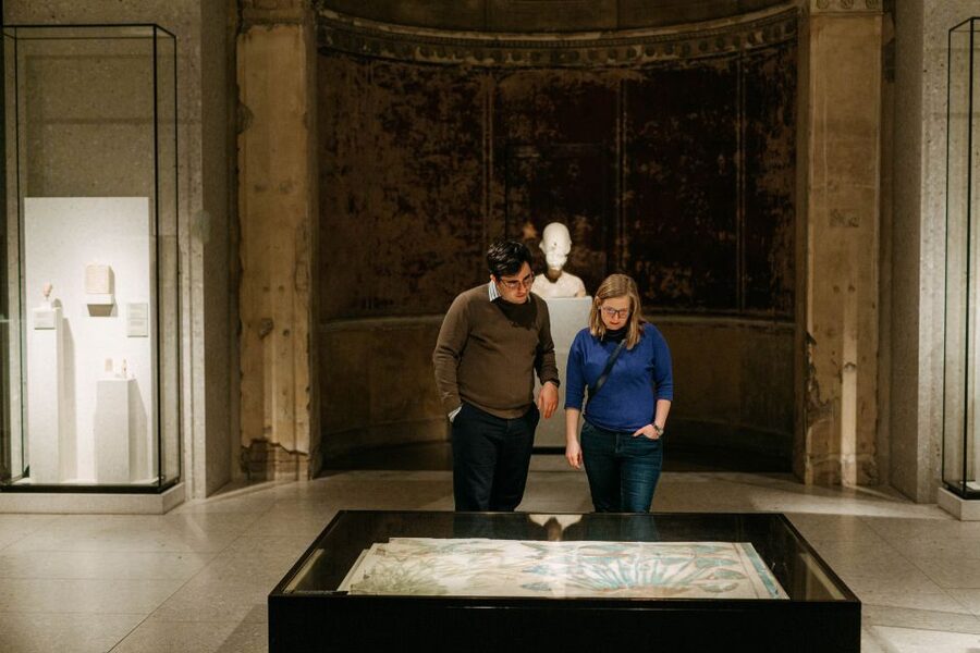Berlin: Neues Museum Entry Ticket - Is $16 good value?