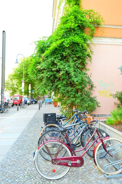 Berlin Reunited and Revived! 3-Hour Alternative Tour - Friedrichshain and the politics of alternative Berlin