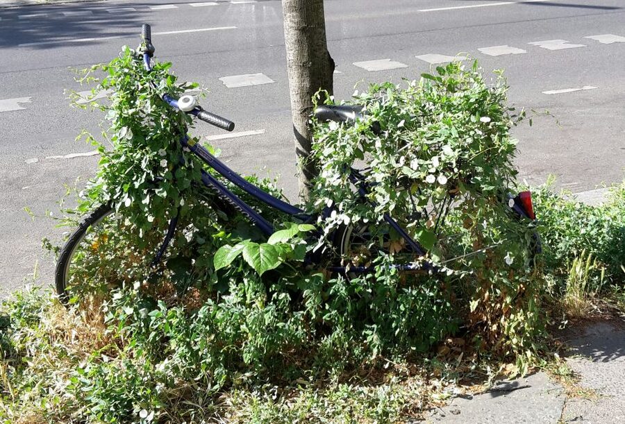 Berlin: Street Art and Alternative Tour - What the three-hour format feels like