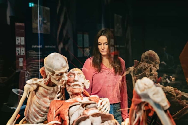 Berlin: Tickets for the BODY WORLDS Museum in Berlin - Location, access, and practical planning