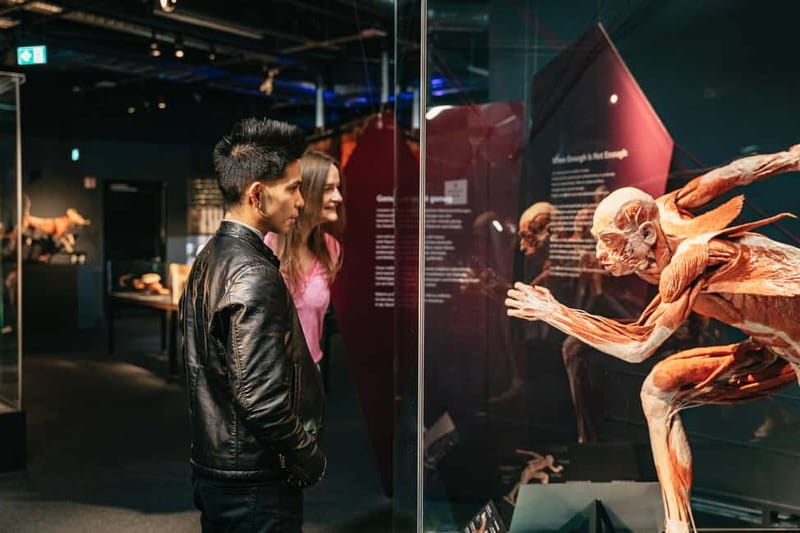 Berlin: Tickets for the BODY WORLDS Museum in Berlin - What you are really seeing at BODY WORLDS