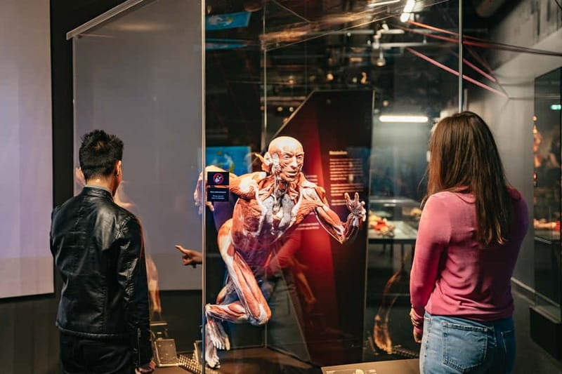 Berlin: Tickets for the BODY WORLDS Museum in Berlin - Examine the nervous system and the effects of stress