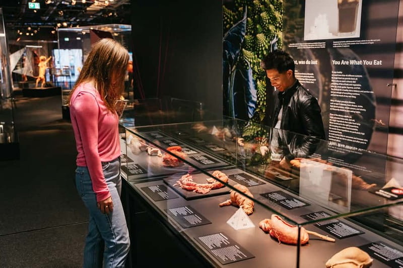 Berlin: Tickets for the BODY WORLDS Museum in Berlin - Start with the skeleton and muscular system