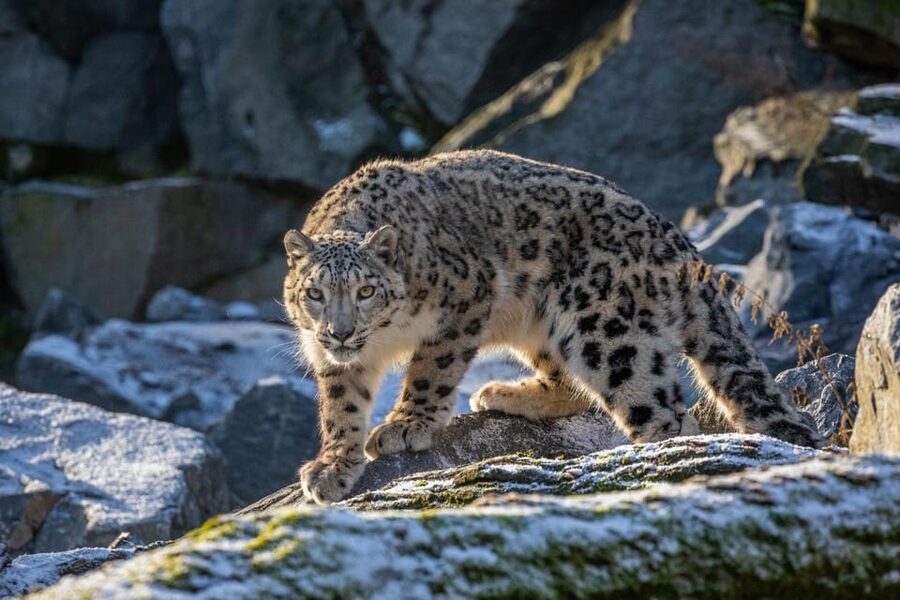 Berlin: Tickets for the Tierpark in East Berlin - From Southeast Asia to the Himalayas
