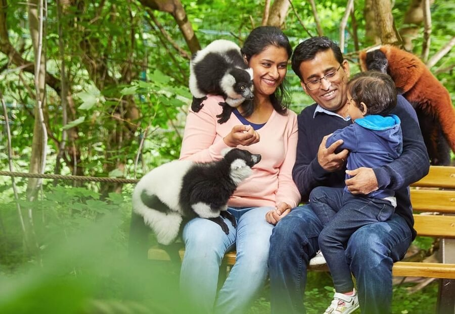 Berlin: Tickets for the Tierpark in East Berlin - Food, clothing, and rules that affect your day