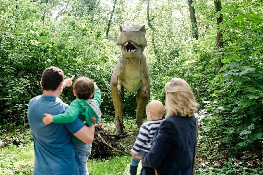 Berlin: Tickets for the Tierpark in East Berlin - Getting to the correct Berlin zoo