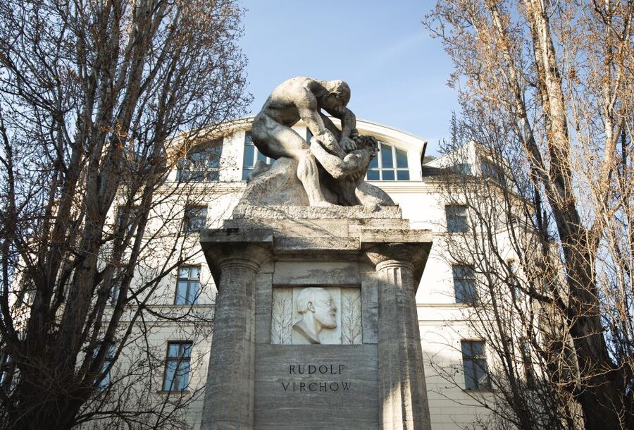 Berlin: walking tour about Charité - The famous doctors behind the story