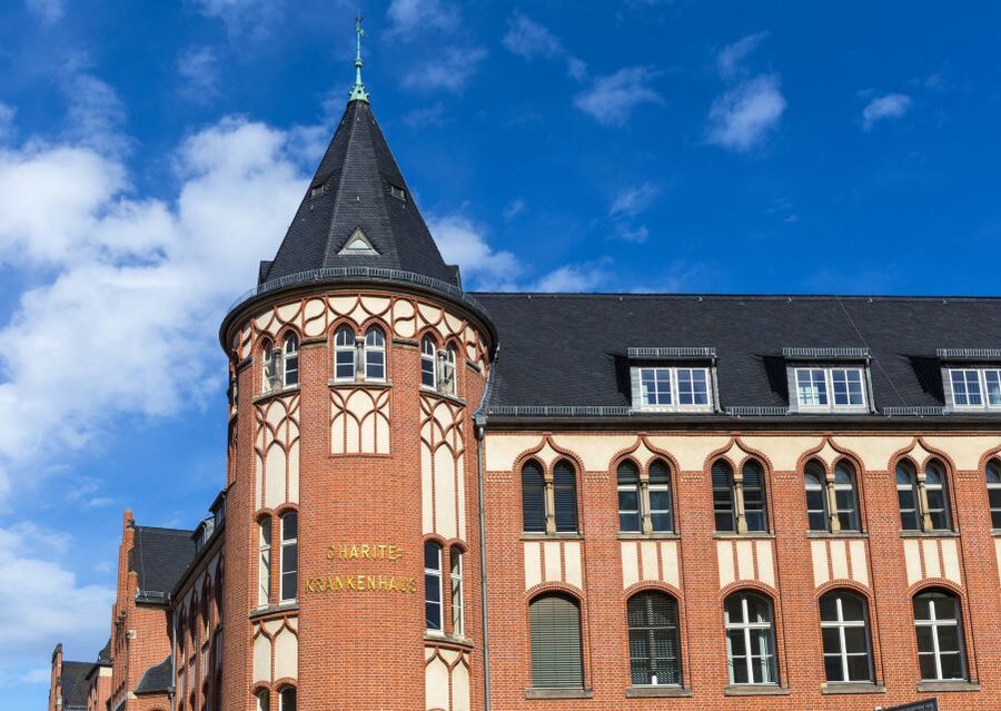 Berlin: walking tour about Charité - The mysterious Animal Anatomical Theatre