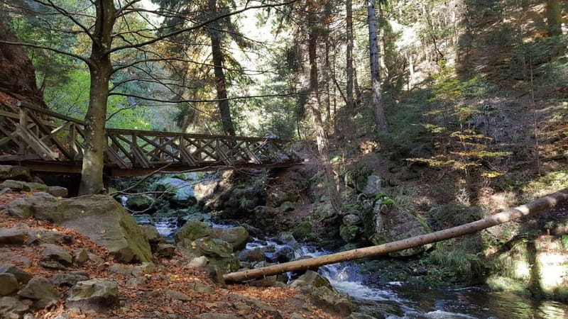 Black Forest: Ravenna Gorge Hike, Self-Guided - Why Ravenna Gorge feels like the real Black Forest