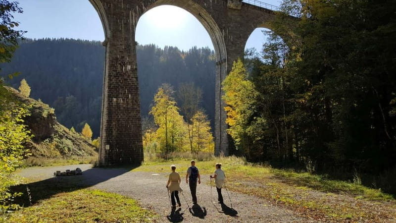 Black Forest: Ravenna Gorge Hike, Self-Guided - The train from Freiburg to Hinterzarten