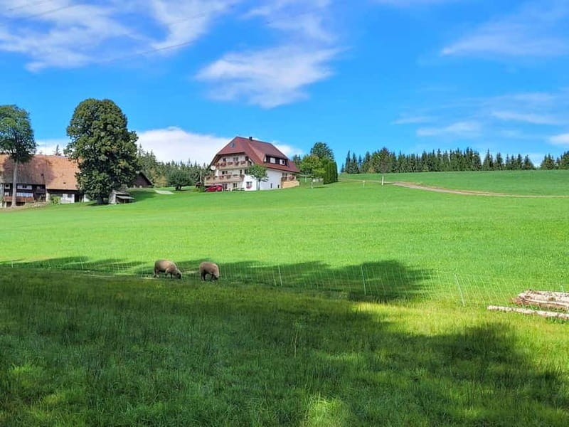 Black Forest: Ravenna Gorge Hike, Self-Guided - Walking the 8 km Ravenna Gorge route