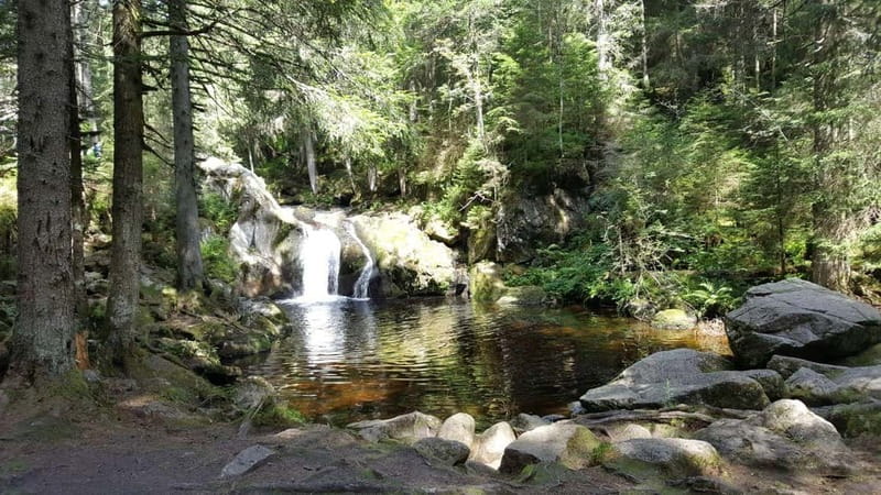 Black Forest: Ravenna Gorge Hike, Self-Guided - The area’s largest cuckoo clock