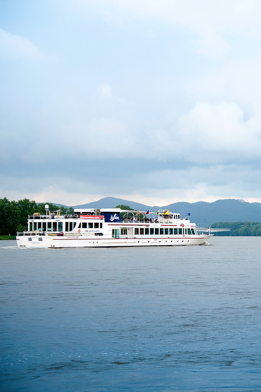 Bonn: Evening Sightseeing Cruise on the Rhine River - Bonn’s Rhine skyline after sunset