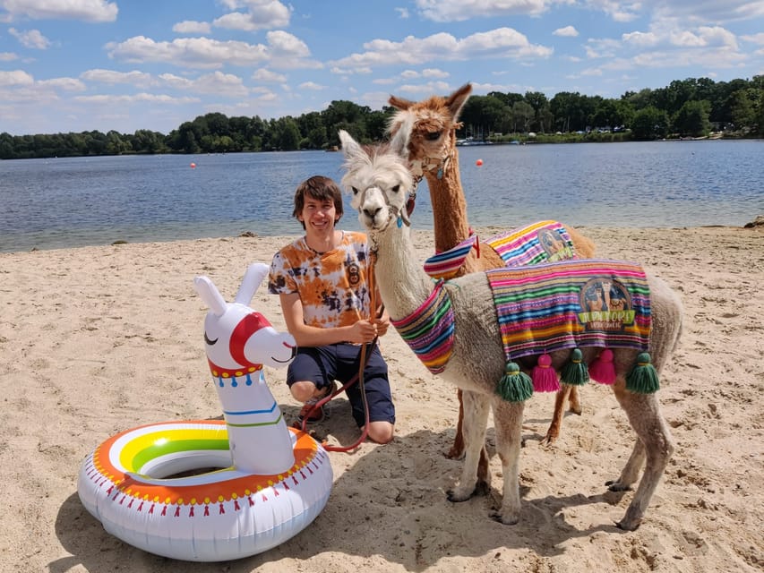 Braunschweig: Alpaca Trekking Tour - What the price means