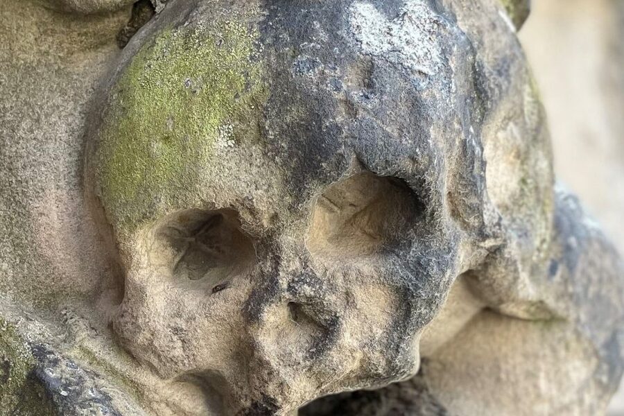 Braunschweig: Private Tour to Ghosts, Witches & Vampires - Key details of Braunschweig’s dark walking tour