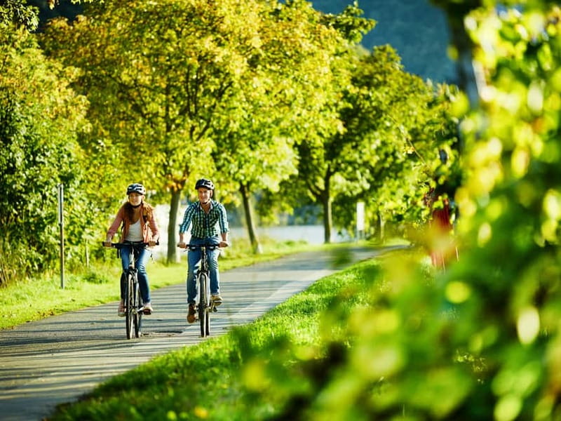 Cochem: Bike and Boat Tour with Picnic and Wine Tasting - A self-guided Moselle day, not a guided tour