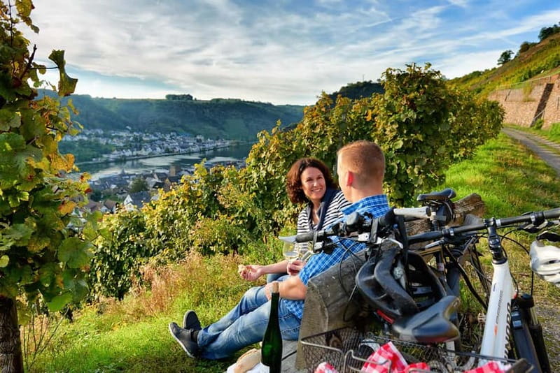 Cochem: Bike and Boat Tour with Picnic and Wine Tasting - What makes the Moselle ride worthwhile