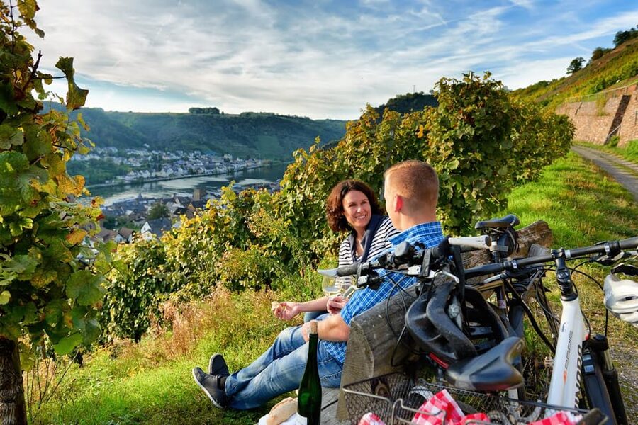 Cochem: Bike and Boat Tour with Picnic and Wine Tasting - A picnic beside the river