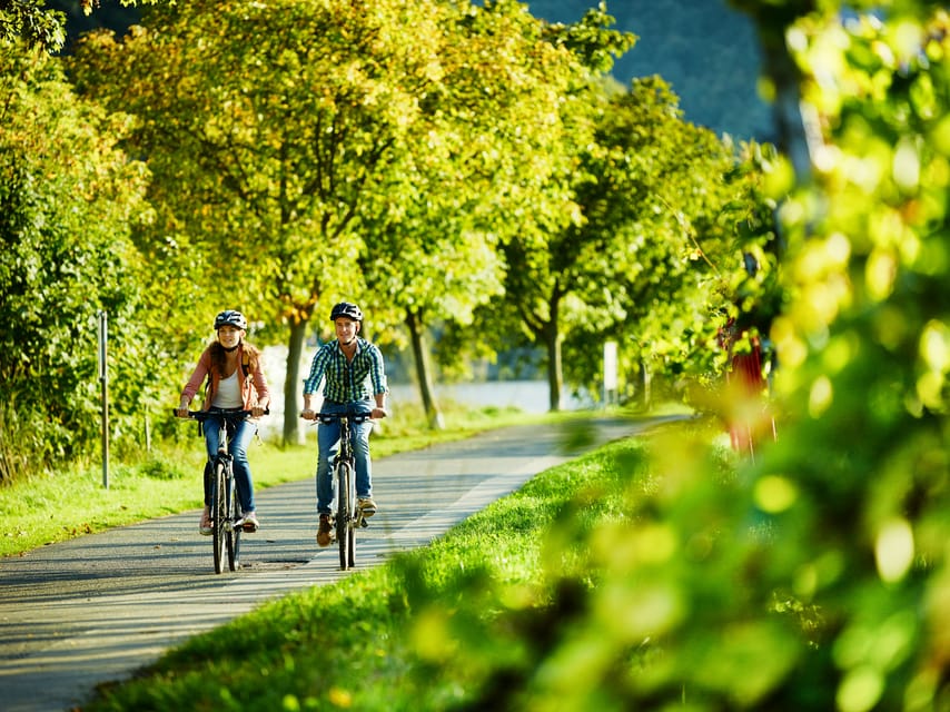 Cochem: Bike and Boat Tour with Picnic and Wine Tasting - Three wine samples and a bottle to take home