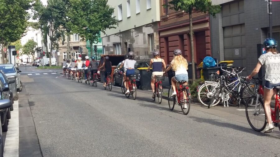 Cologne: 3-Hour Guided Bike Tour - Rheinauhafen and the three Crane Houses