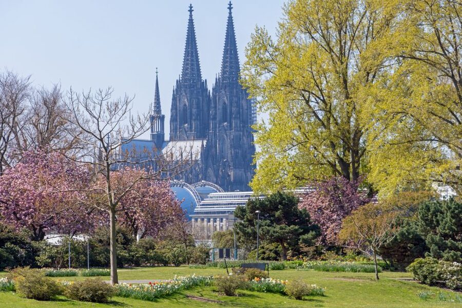 Cologne: City Highlights Segway Tour - Returning beside the Rhine