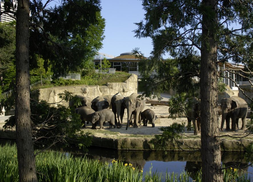 Cologne: Cologne Zoo and Aquarium Entry Ticket - Key points at a glance