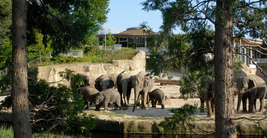 Cologne: Cologne Zoo and Aquarium Entry Ticket - Reaching the zoo from central Cologne