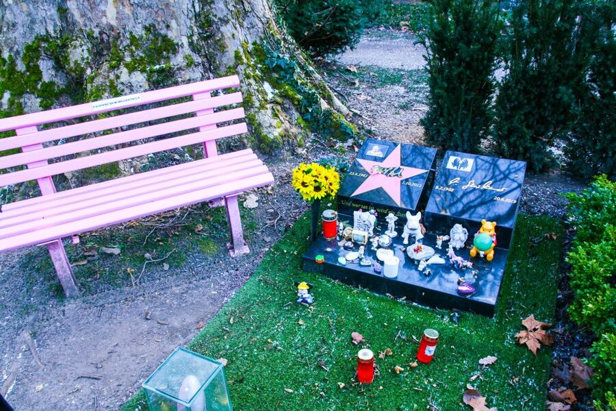 Cologne: Guided Tour of Melatenfriedhof - The notable graves and the people behind them