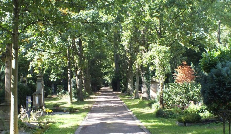Cologne: Melaten Cemetery Life, Love and Death Tour - Accessibility, clothing, and practical details
